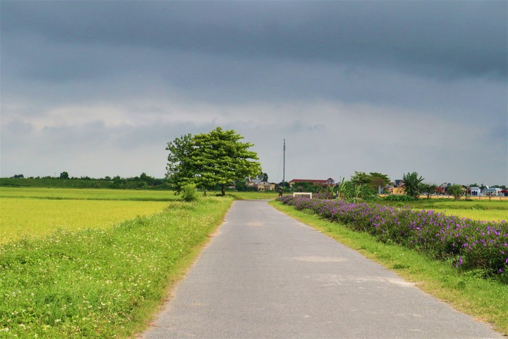 The country road