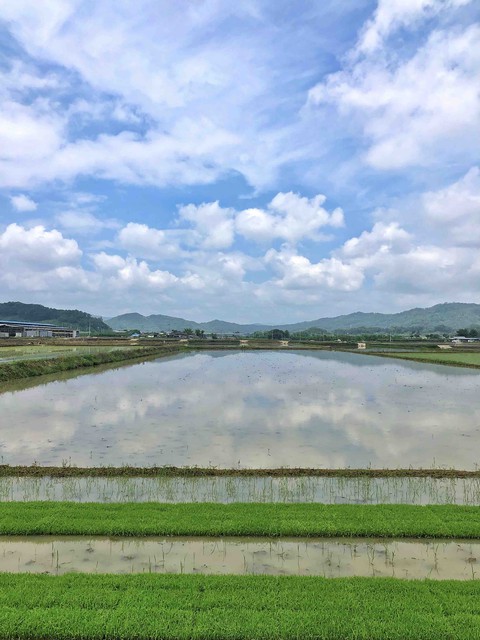농사