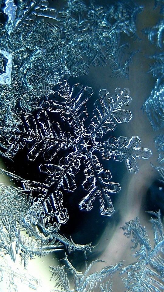 ❄❄❄