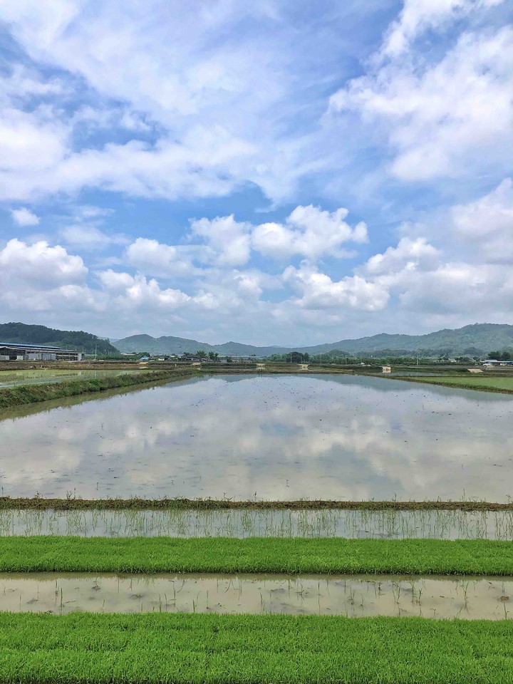 농사