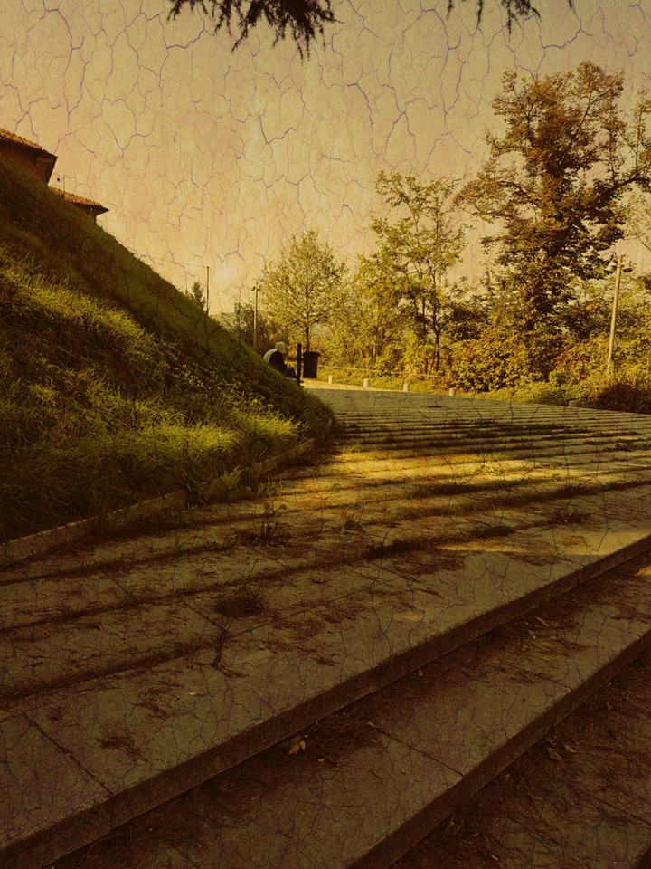 in the park...