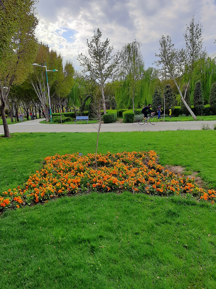 Nature