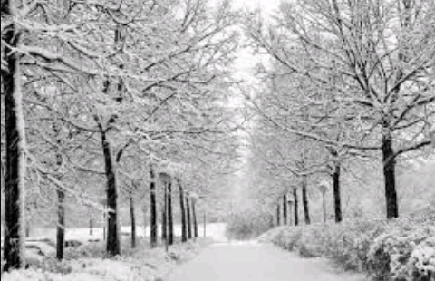 inverno