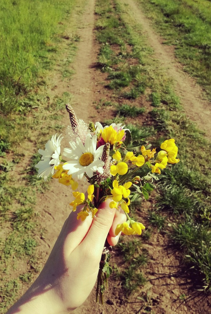 flowers
