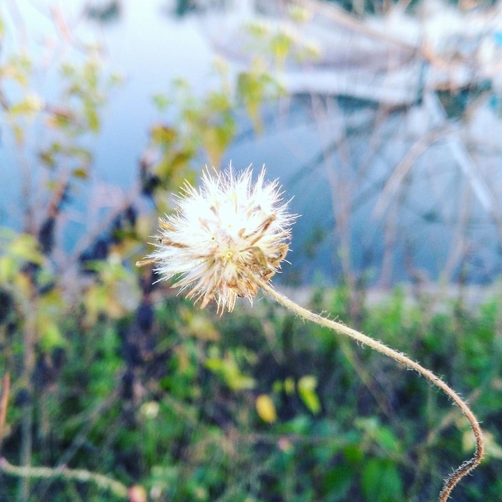 lovely 