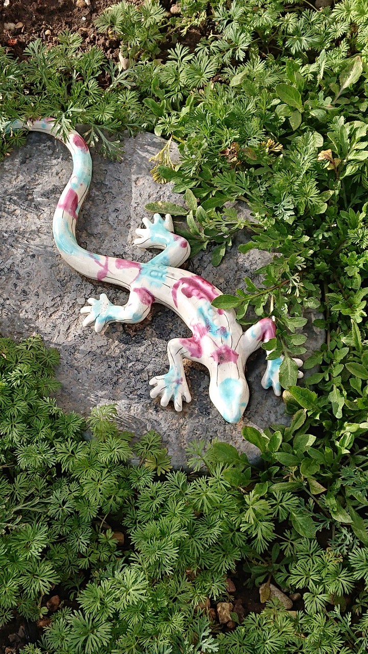 déco de jardin salamandre