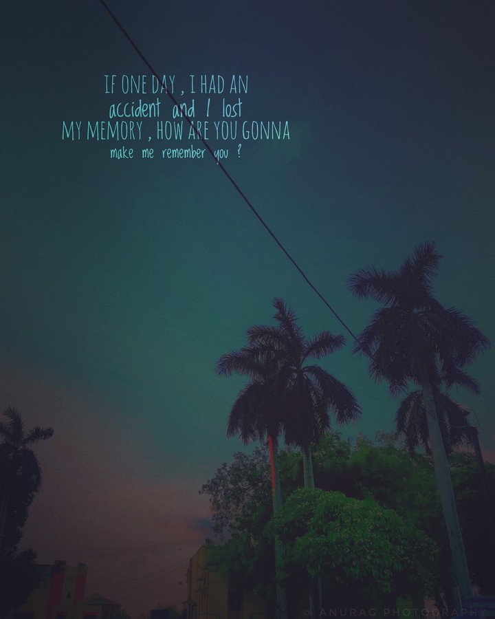 wallpaper photography
