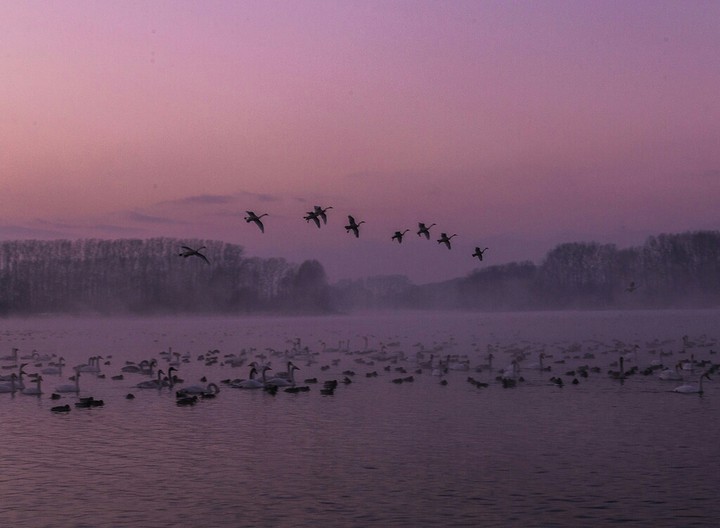 nature