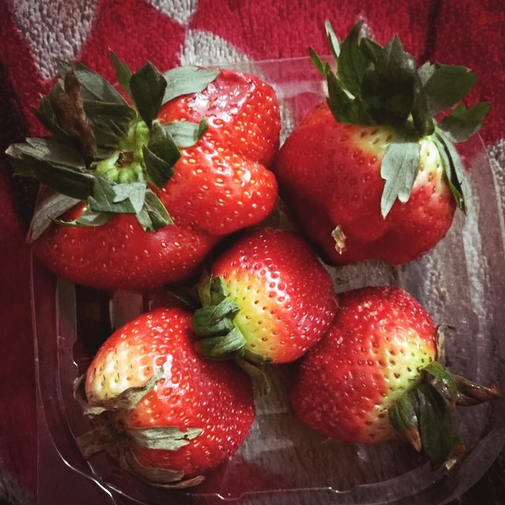 Fruit