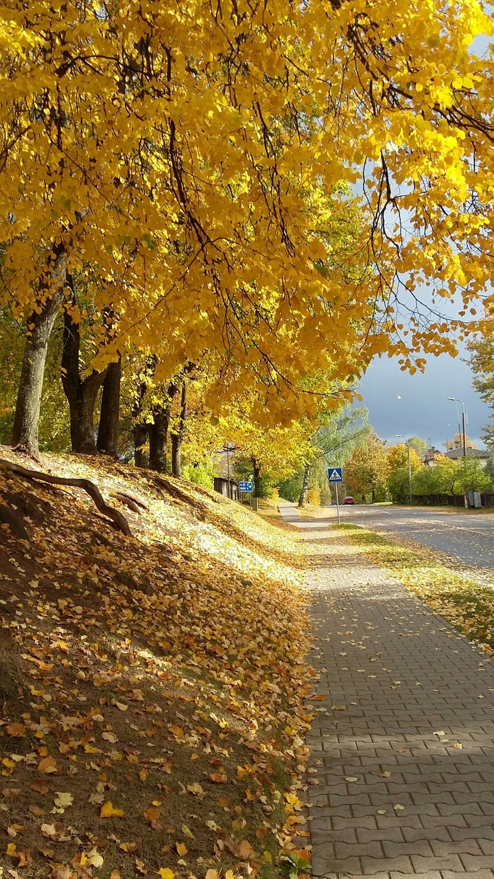 autumn