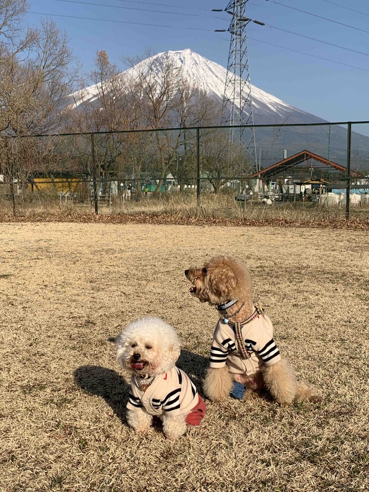 Lucky& Money