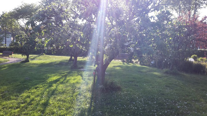 Sonnenstrahlen