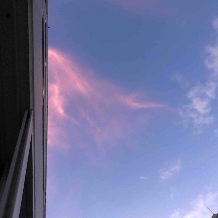pink