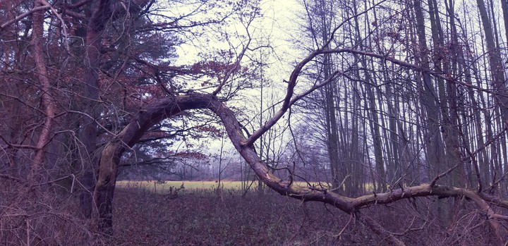 Sunday Walk;)
