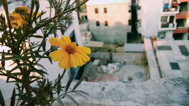 urban
