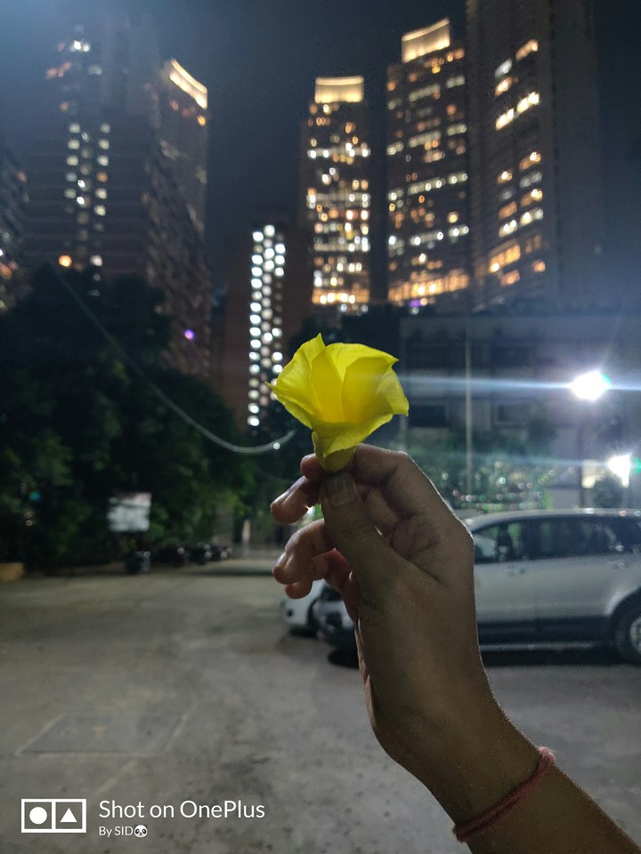 Yellow flower