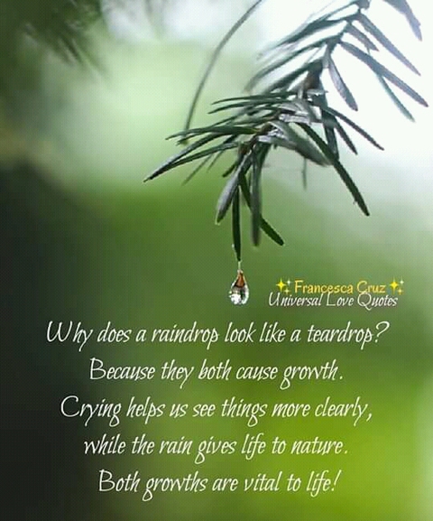 Quote