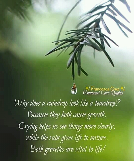 Quote