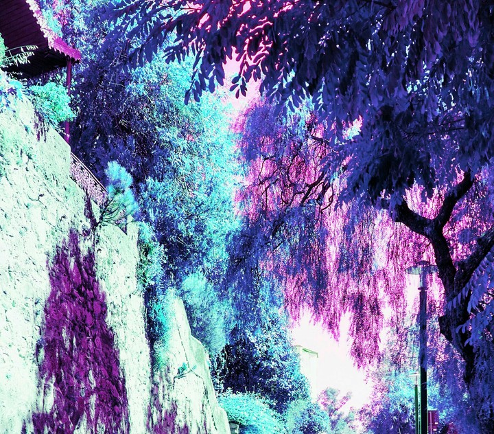 my editing from a normal photo