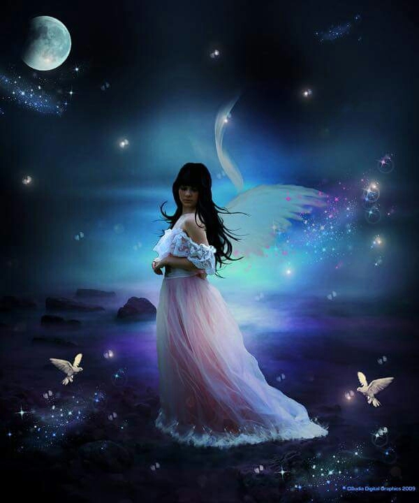 fairy