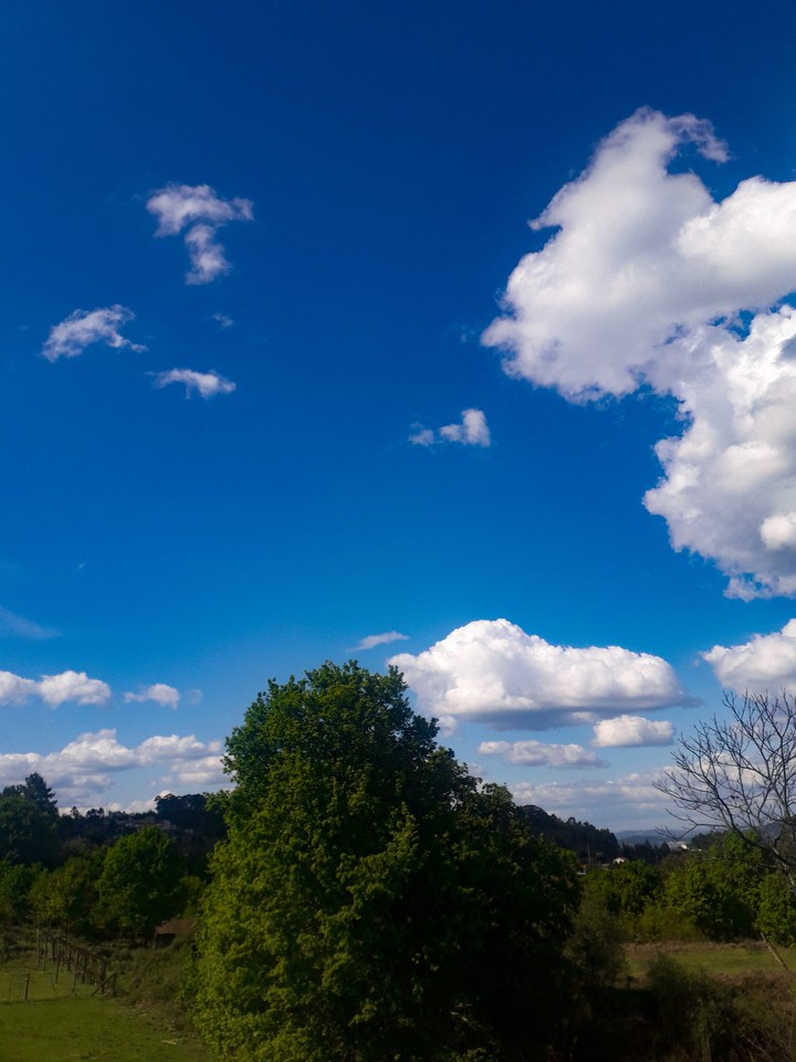 Sky