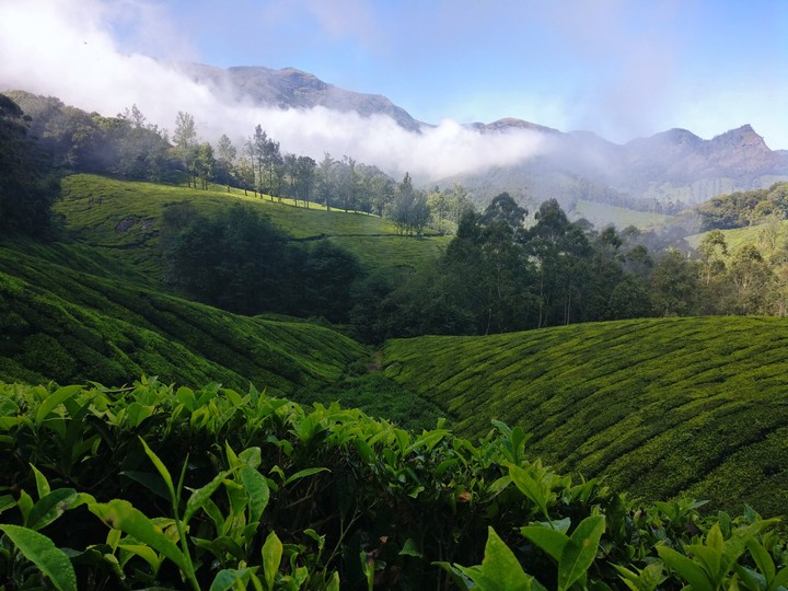 Munnar