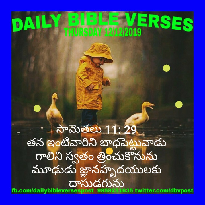 DAILY BIBLE VERSES