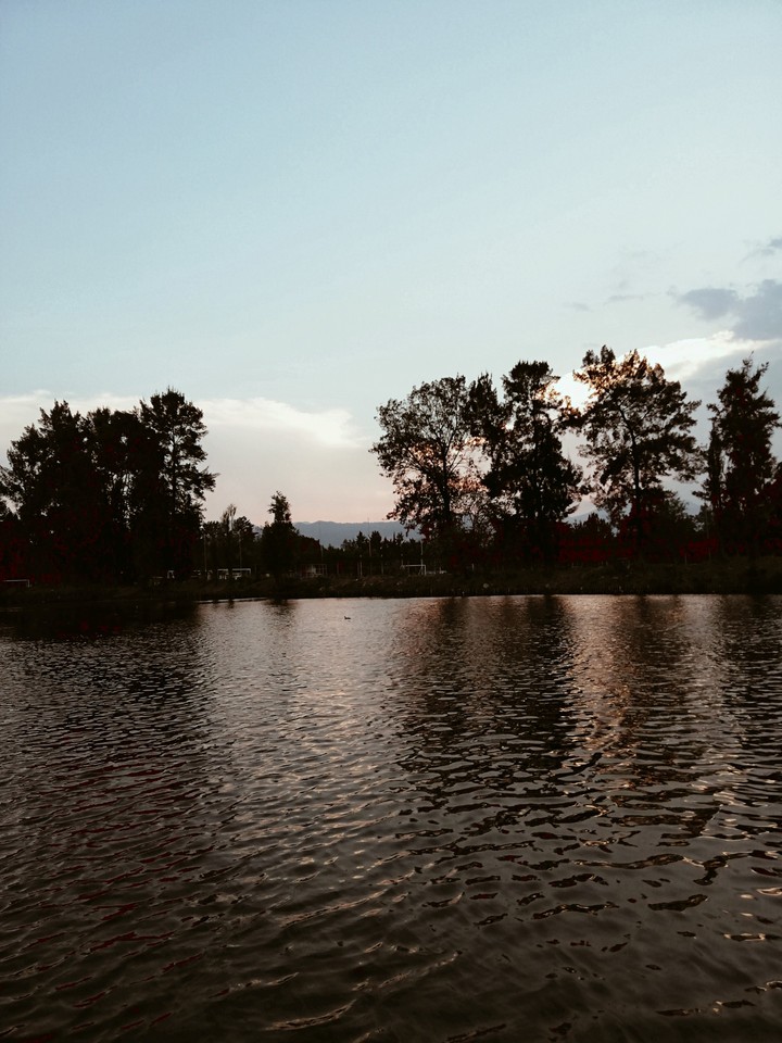 Xochimilco's lake