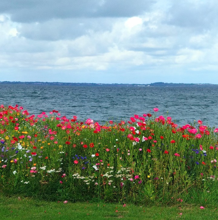 Meer