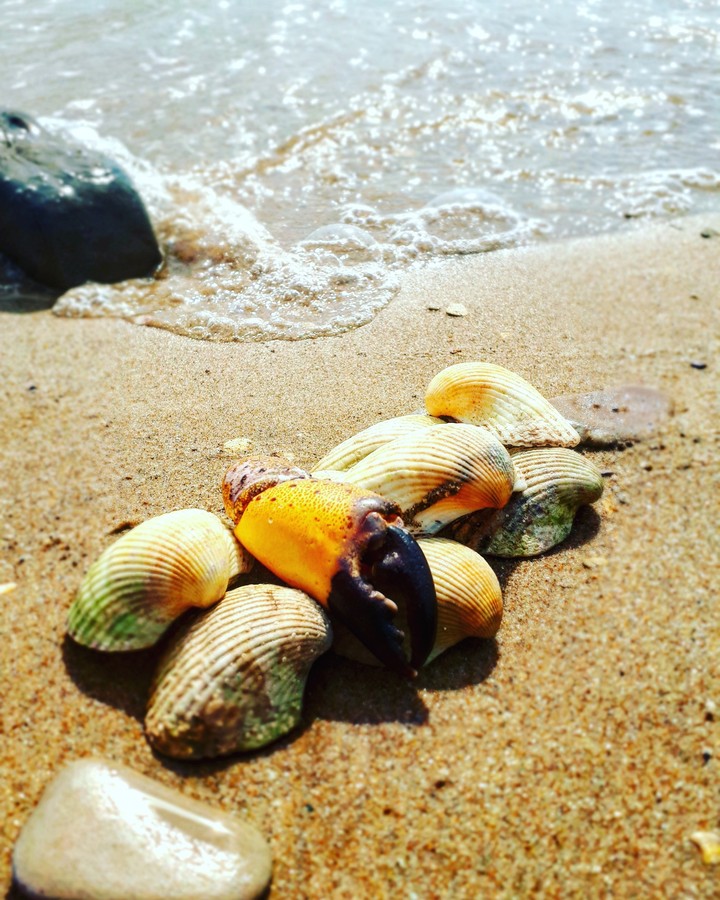 Море