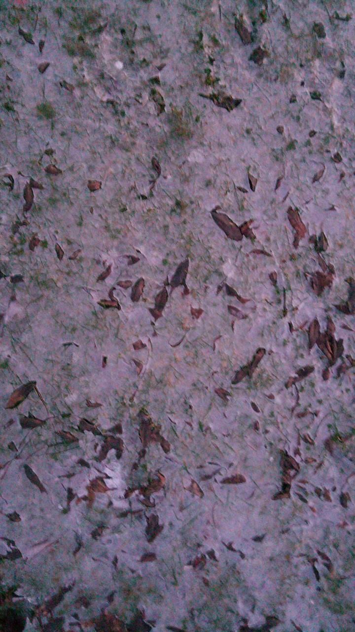ice