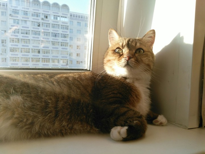 Ekaterina