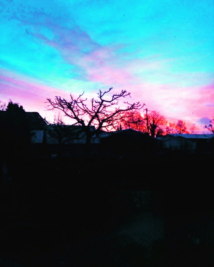 Morning Sun
