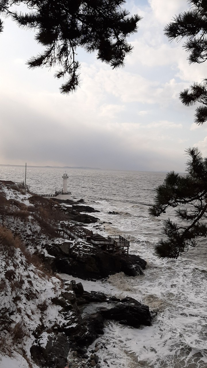 sea
