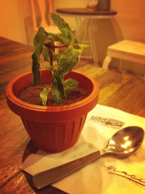 chocolate pot