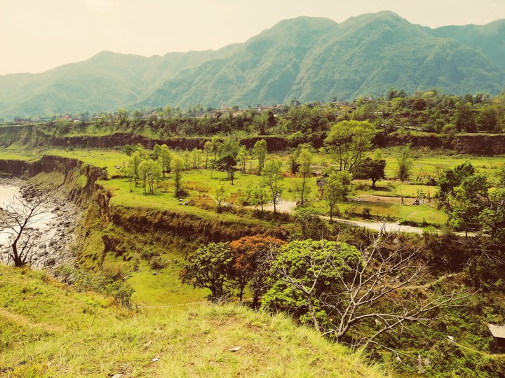 nature