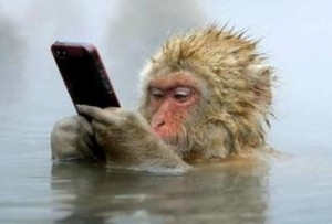 検索中？Searching?