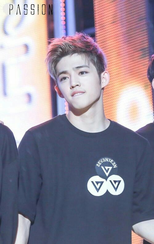 seventeen-s.cousp