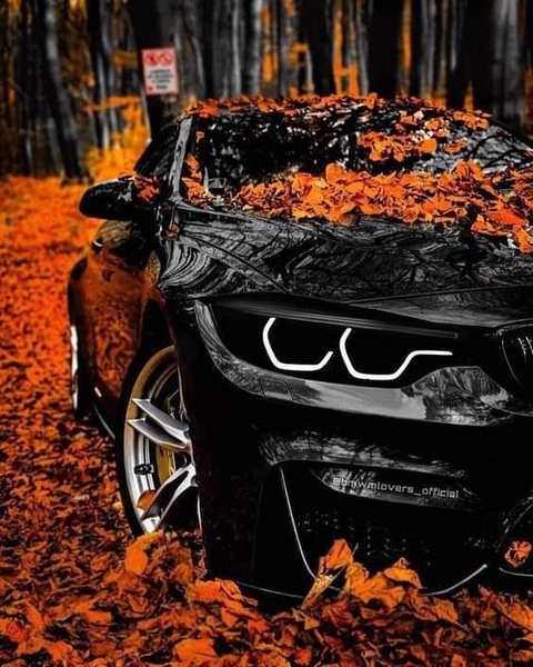 BMW M5 f90