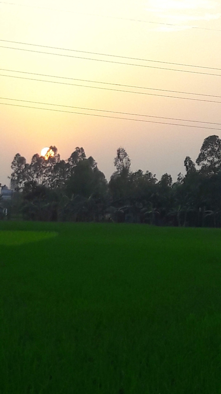 Sunshine