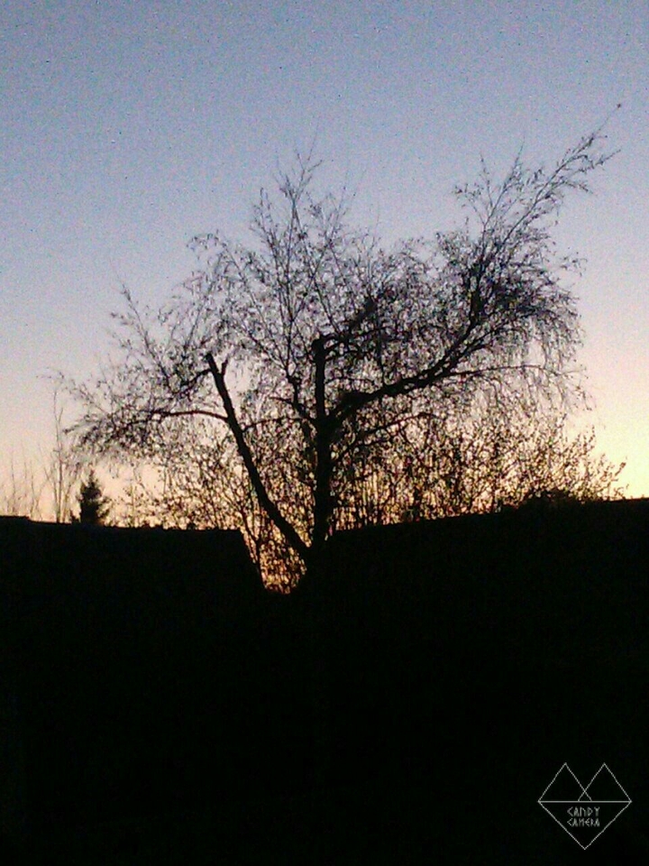 Coucher de Soleil