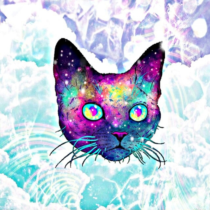 Gato♥