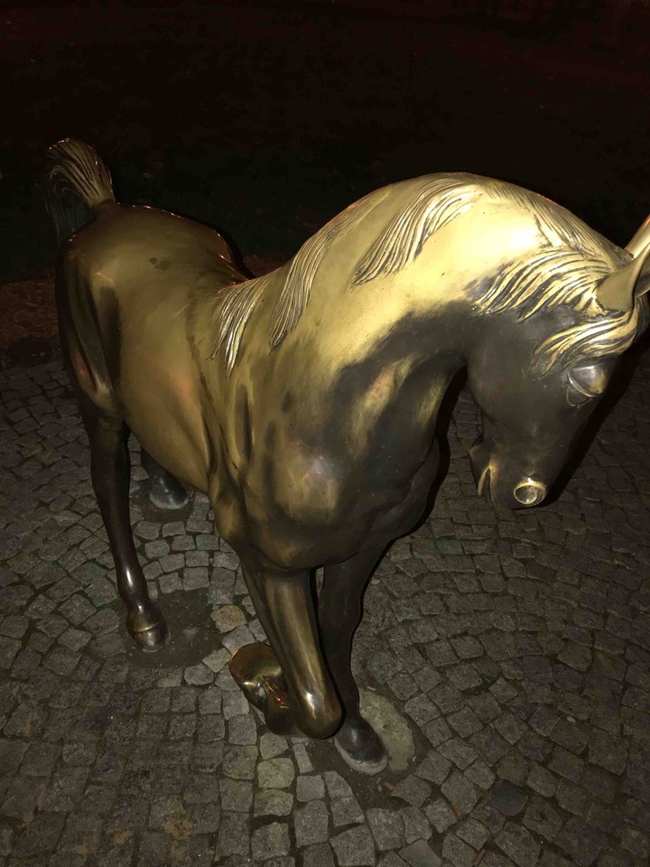 конь