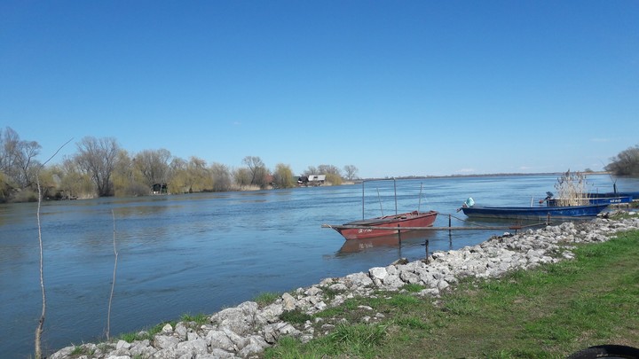 River Drava