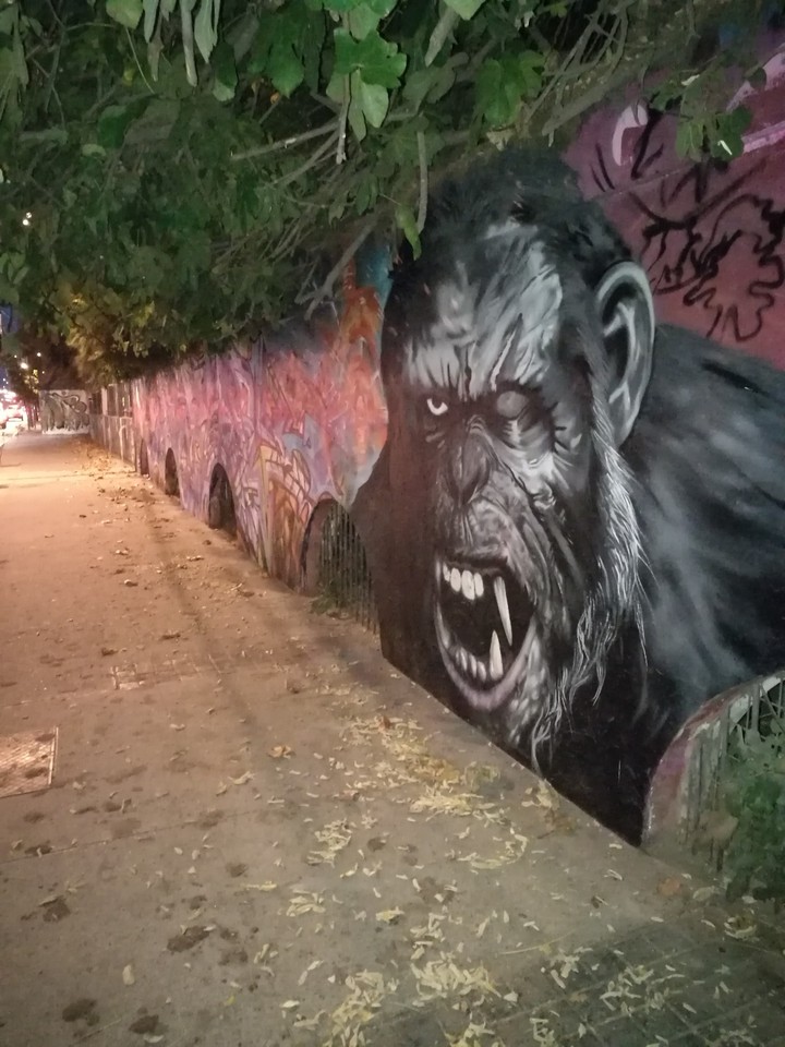 graffitis
