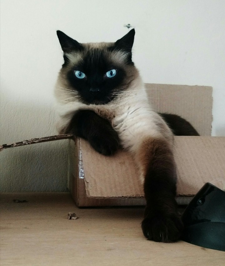 :)