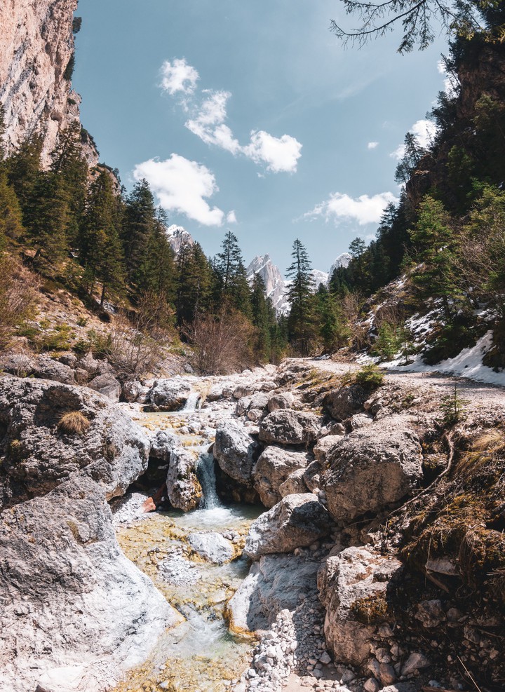 Nature