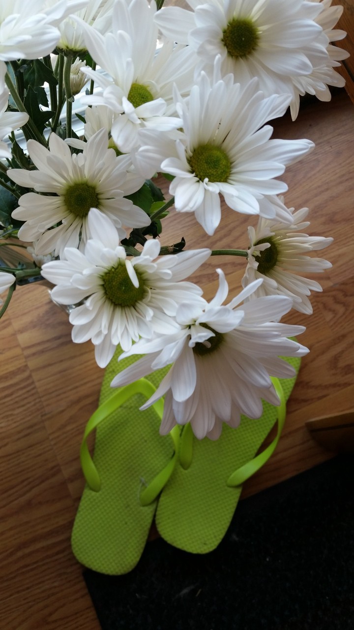 beautiful daisy's