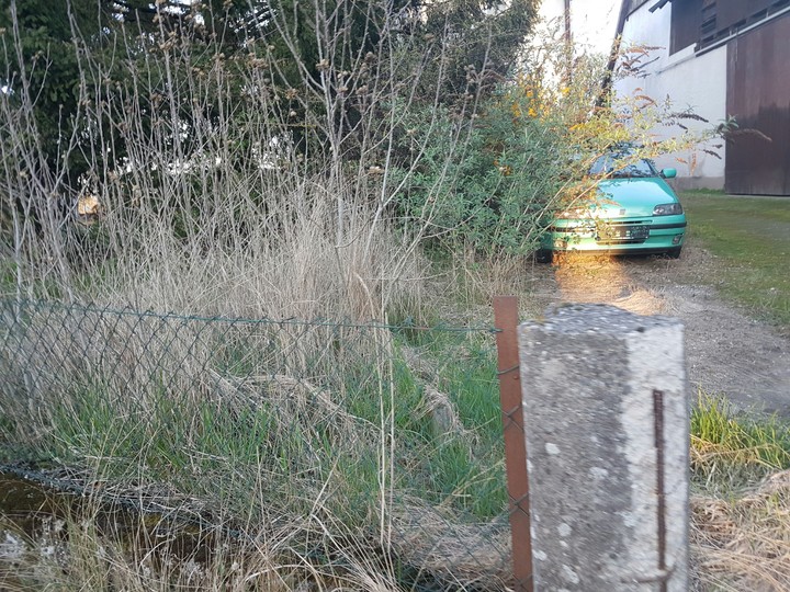 old car