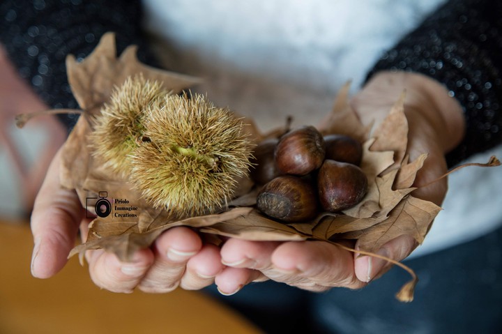 Autumn 2019